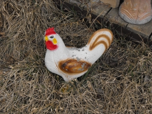 1414048_old_chicken_lawn_ornament